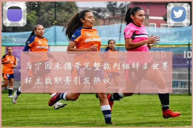 马宁因未携带完整裁判组辞去世界杯主裁职务引发热议