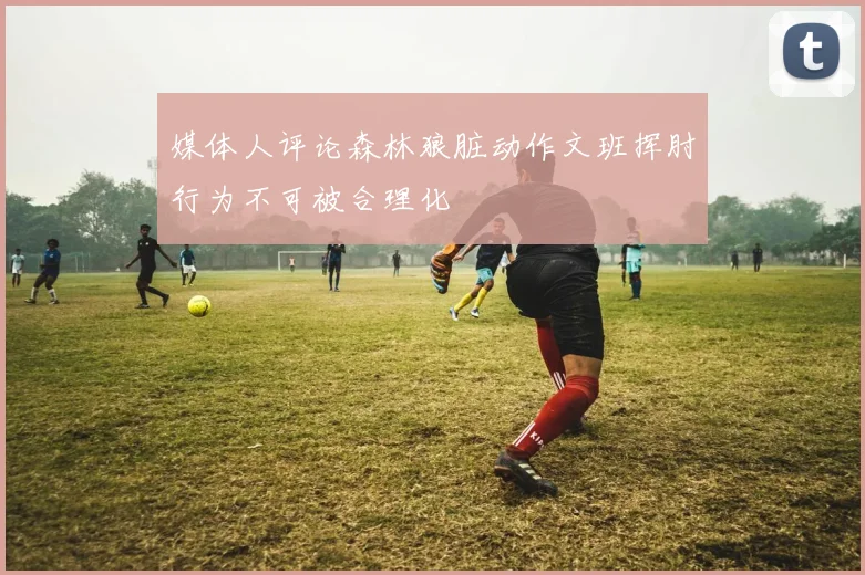 媒体人评论森林狼脏动作文班挥肘行为不可被合理化